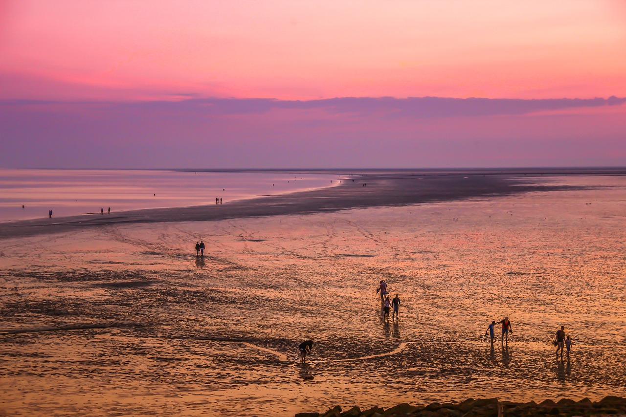 Das Wattenmeer vor Föhr: Ein faszinierendes Naturerlebnis